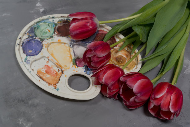 用颜料在灰色背景上画郁金香花图片下载