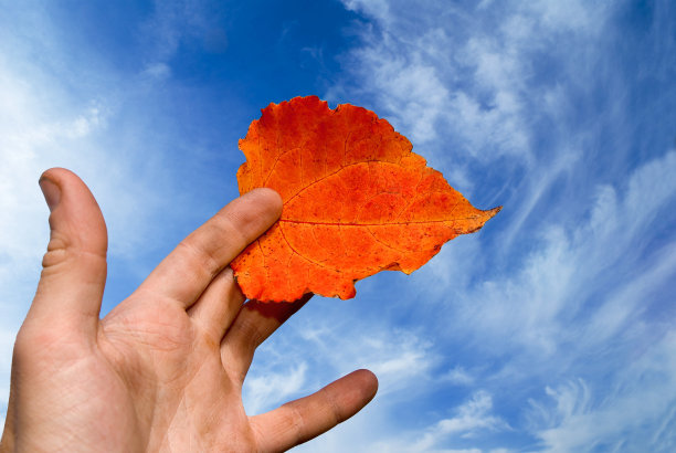 手里拿着一张白杨纸图片下载