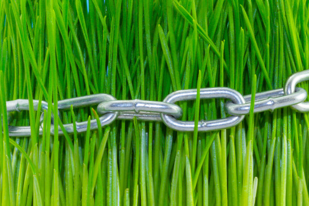 绿草如茵的金属链。生态背景。对地球生态和全球变暖的威胁图片下载