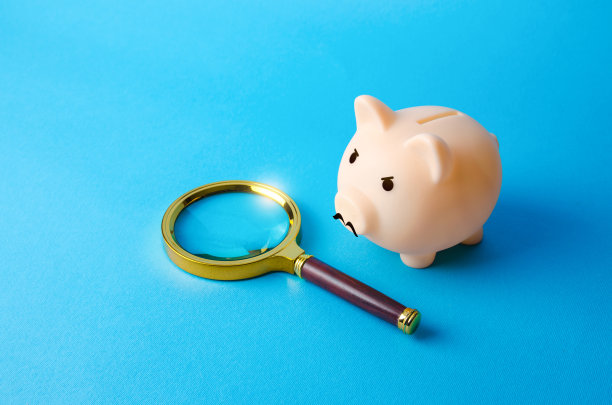 小猪侦探调查金钱交易。洗钱调查、审计和会计。可疑交易。减少不必要的开支和资金流失。财务安全。图片下载