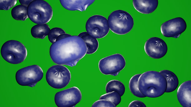 美丽的蓝莓。图片下载