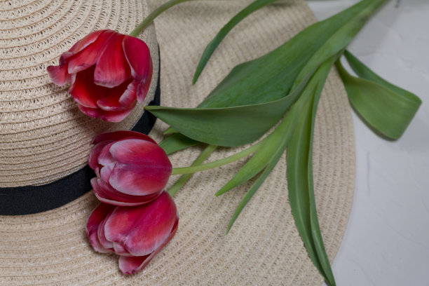 一束带草帽的粉红色郁金香图片下载