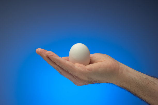 白种男性手里拿着新鲜的生鸡蛋。近景摄影，孤立在蓝色背景上图片下载