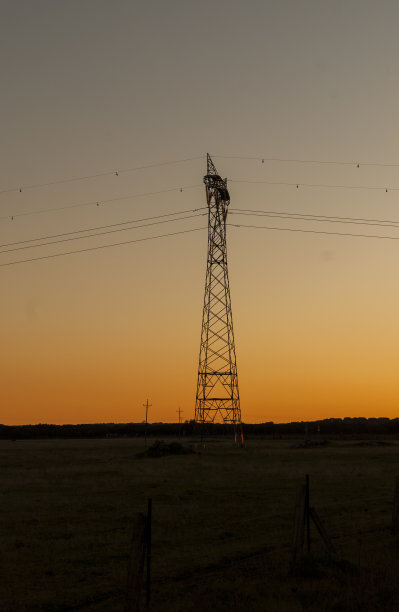 埃斯特雷马杜拉dehesa的背光电力塔，在冬季日落时垂直图片下载