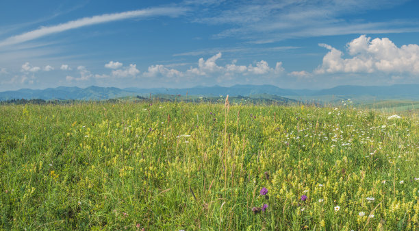 农村景观。风景如画的山丘和山谷，山景。夏天盛开的草地图片下载