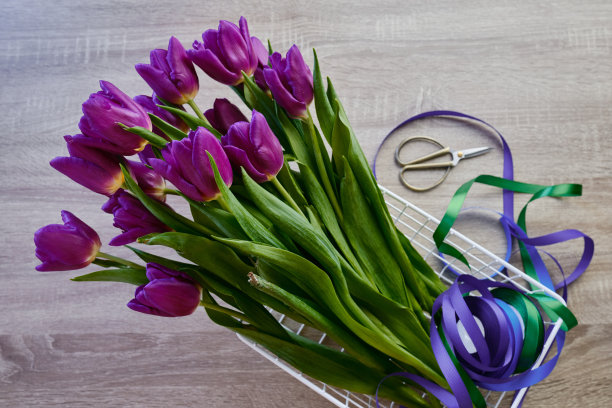 花商把漂亮的紫色郁金香放在花篮里做成花束。幸福的女人手里拿着郁金香。花瓣。一份节日礼物，春天心情。浪漫的惊喜图片下载