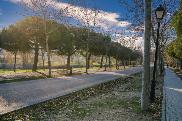 美丽的风景。城市公园的路径。健康、都市、运动、快乐的生活理念图片下载