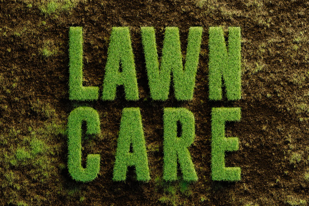 草坪护理草绿色泥土3D渲染图片下载