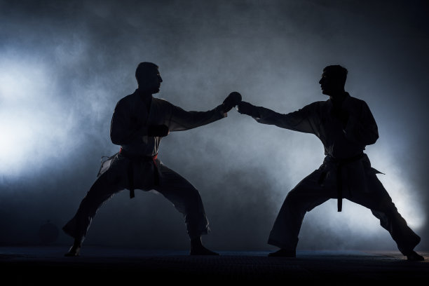 一个武术大师的肖像在黑色的背景上图片下载