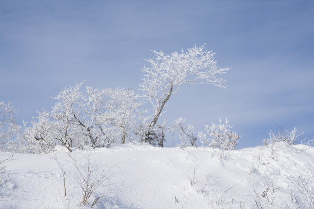 德龟山国立公园的冬季白雪图片下载