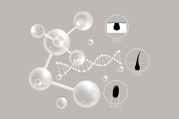 透明质酸皮肤头发指甲解决方案广告，白色胶原蛋白血清滴化妆品广告背景准备使用，插图矢量。图片下载