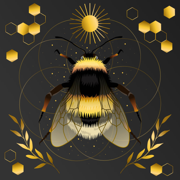 大黄蜂矢量绘图，俯视图。图片下载