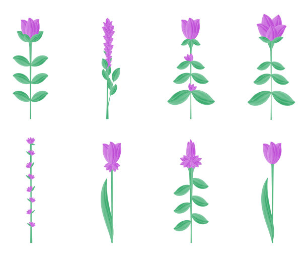 水彩装饰紫花收藏图片下载