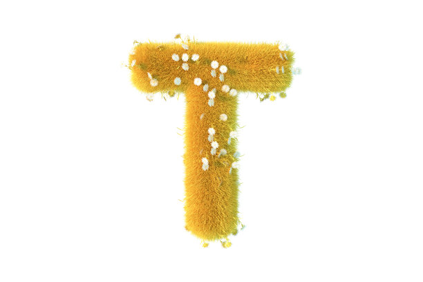 字母T与黄色的草和花大写白色背景图片下载