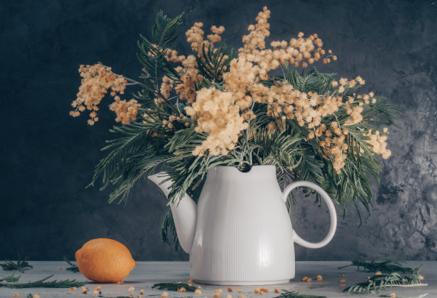 静物-金合欢，白色茶壶和柠檬，在灰色的背景图片下载