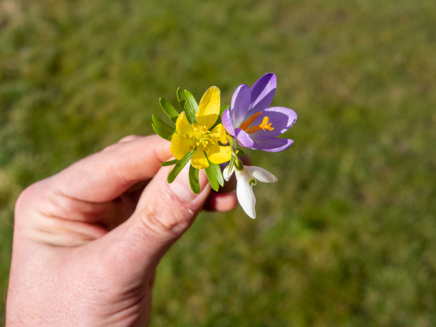 手与春天的花朵背景图片下载