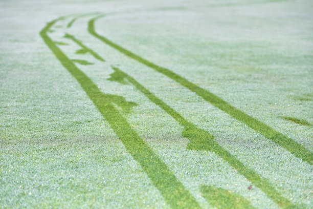 在有雾和霜的冬天，高尔夫球场上的车的脚印和脚印。高尔夫球手用手推车踩在冰霜覆盖的草地上，留下了痕迹。图片下载