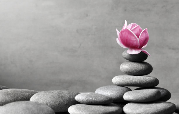 美丽的粉色玉兰花石，概念身心美水疗、按摩、禅宗石图片下载