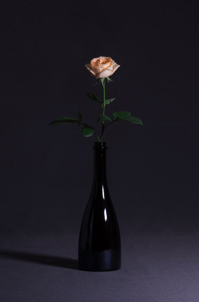 深色背景的瓶中淡玫瑰色。极简主义的花卉静物画。图片下载