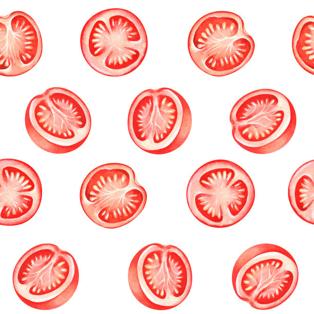 西红柿。无缝模式。水彩插图。孤立在一个白色的背景。为设计。图片下载