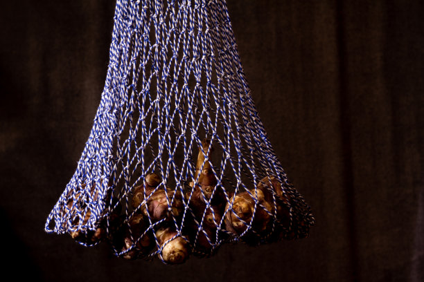 带照片的袋子与新鲜的蔬菜-可重复使用的环保购物袋与植物食品-生素食耶路撒冷洋蓟在黑暗的背景图片下载