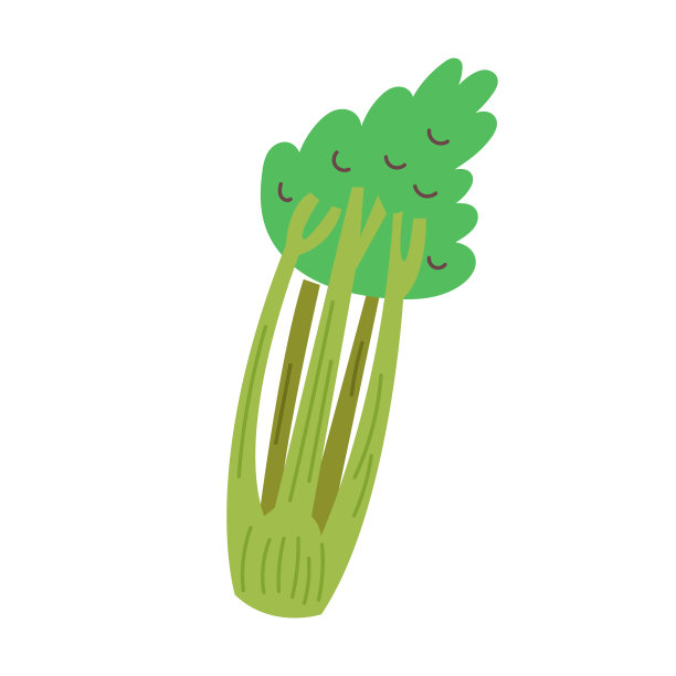 向量绿芹菜图片下载