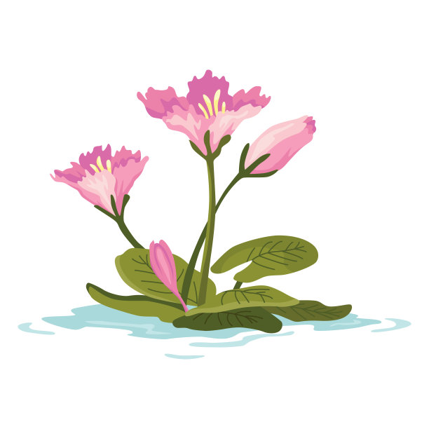 沼泽和湿地植物。手绘植物项目。沼泽动植物。普通植物在水中生长，孤立说明图片下载