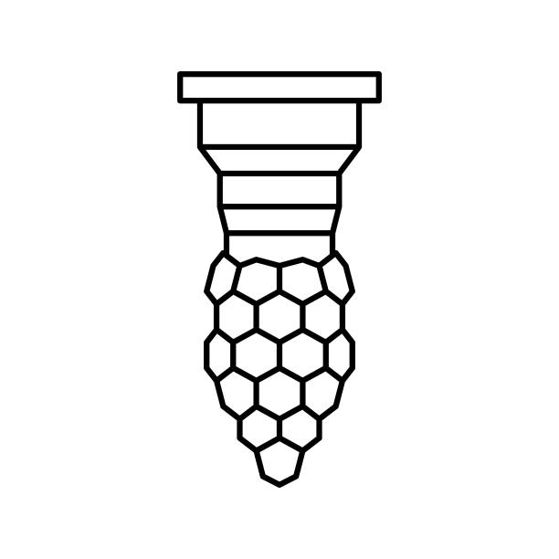 蜂王生产养蜂线图标矢量插图图片下载