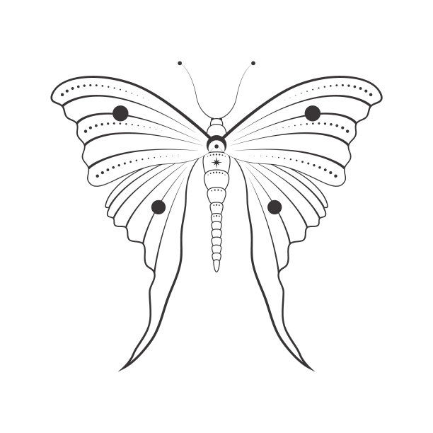 外形昆虫素描纹身。孤立线性向量说明蝴蝶在白色背景图片下载