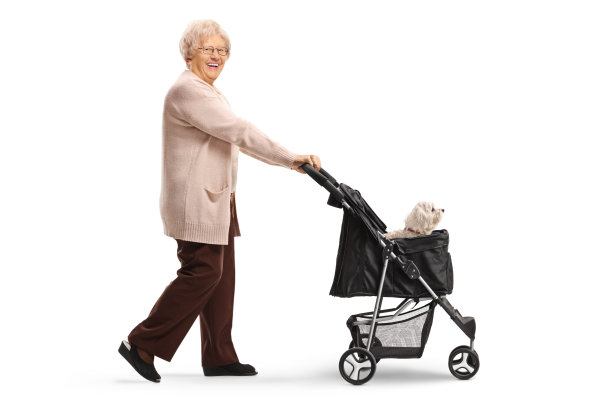 一名老年妇女的全身侧面照片，她正推着一辆狗推车，里面有一只马耳他贵宾犬图片下载