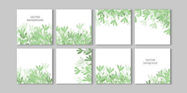 时尚向量设置社会媒体故事和帖子，移动应用程序，横幅设计，网页广告。模板平方背景与复制空间和热带树叶。可编辑的框架，广告模型图片下载