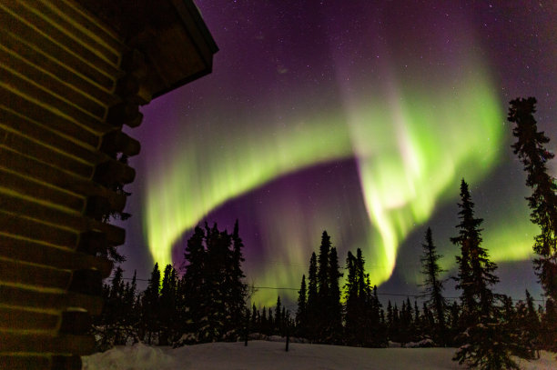 美丽的极光在费尔班克斯，阿拉斯加。图片下载