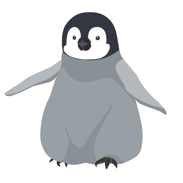 帝企鹅宝宝正在走路。图片下载