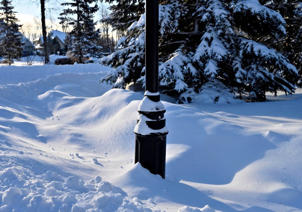 公园照明杆图片下载