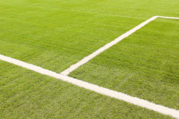新的人工足球场。特写镜头。背景。纹理。图片下载