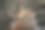 白种老年夫妇在视频通话时挥手图片下载