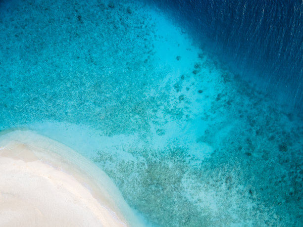 完美的海滩度假白色的沙子和蓝绿色透明的水。从无人机俯视鸟瞰图。位于马尔代夫的原始热带岛屿。摘要旅游文案空间背景。图片下载