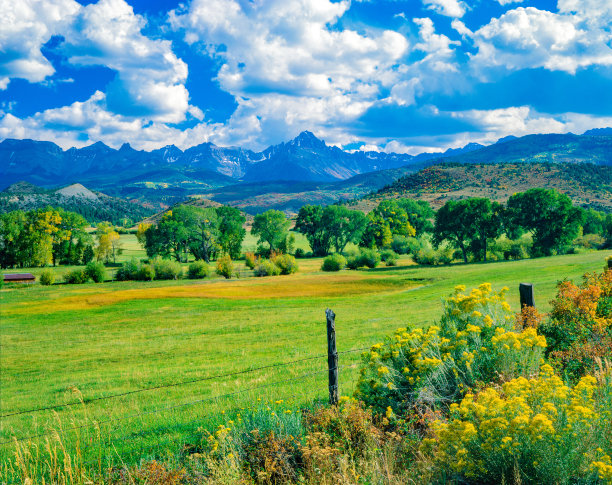 5号大街图片下载