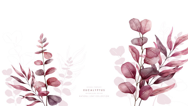 水彩红桉树背景模板从底部矢量设计图片下载