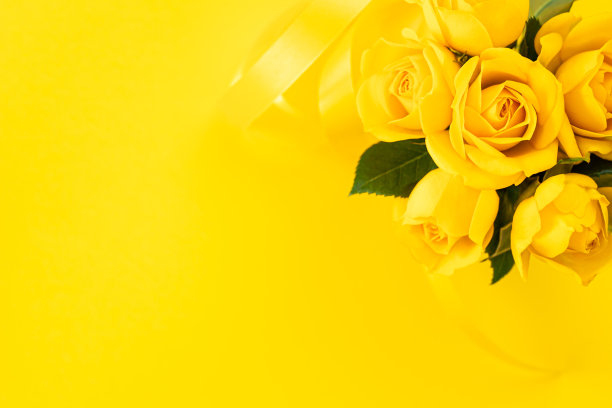 一束黄玫瑰。父亲节礼物。图片下载