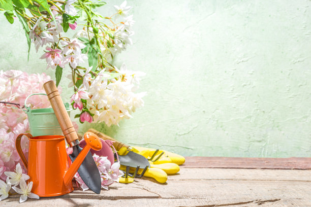 春园艺flatlay图片下载