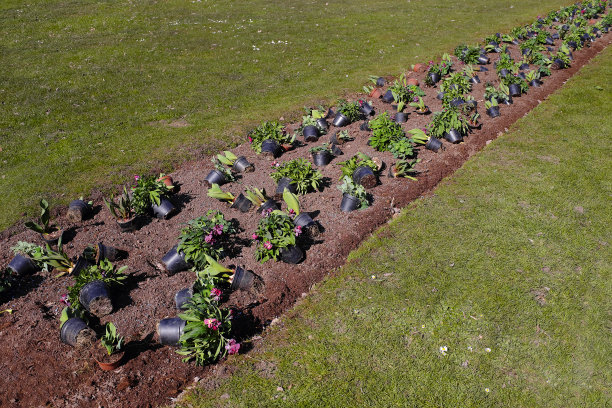 春天在公园里种花图片下载