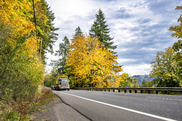 典型的黑色大型拖车半挂车，车顶上挂着超大载货标志，一辆半挂车在山坡上行驶，旁边是黄色的秋天森林图片下载
