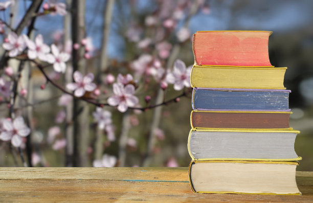 一堆书模糊的樱花在背景假日，春天和放松的概念。图片下载