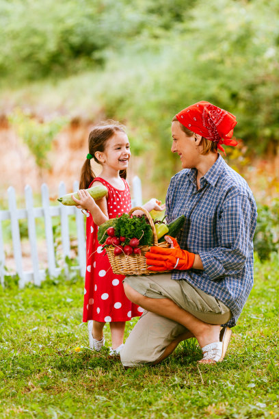 新鲜采摘的蔬菜篮图片下载