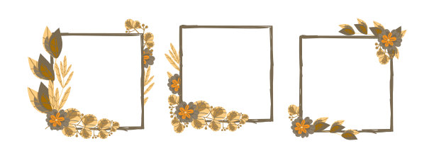 一套框架与花和树枝，手绘元素卡通风格。花。模板的明信片。白色背景上的植物矢量图像。图片下载
