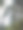 看到黑色森林的树梢。图片下载