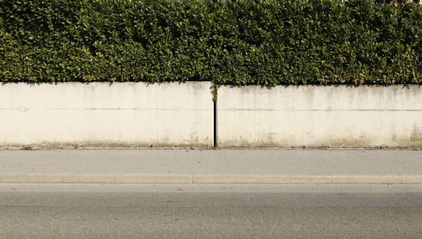 由混凝土墙和上面高高的树篱组成的房子篱笆。前面是柏油人行道和铺好的街道。图片下载