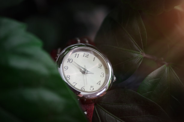 女人的皮革手表图片下载