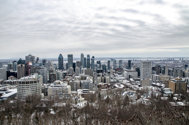 从观景广场看蒙特利尔的天际线图片下载